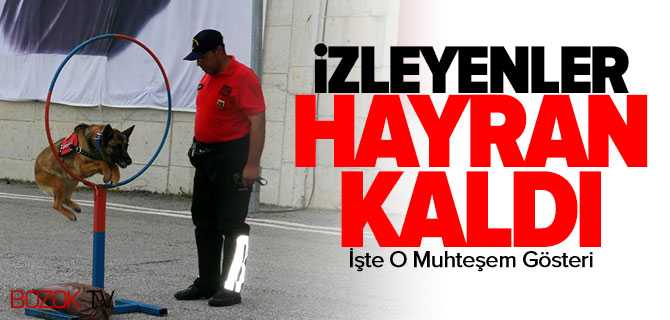 Jandarma Eğitim Köpekleri İzleyenleri Büyüledi