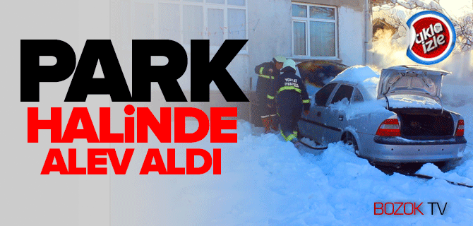 Park Halindeki Otomobil Alev Aldı