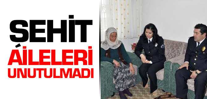 Şehit Aileleri Unutulmadı 