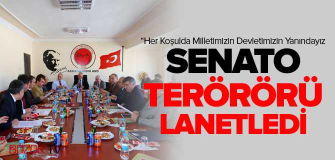 Senato Terörü Lanetledi