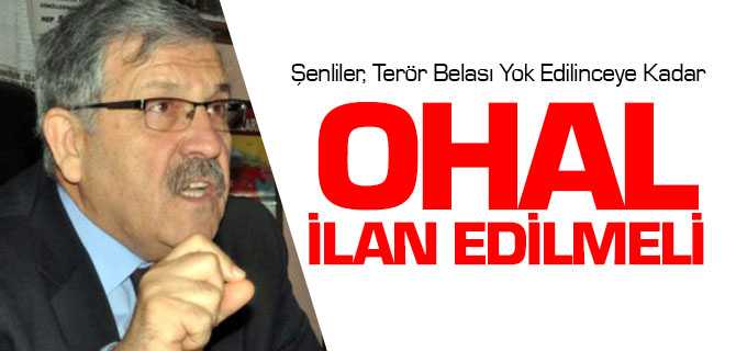 BBP Gemel Başkan Yardımcısı Şenliler, Ohal İlan Edilmeli