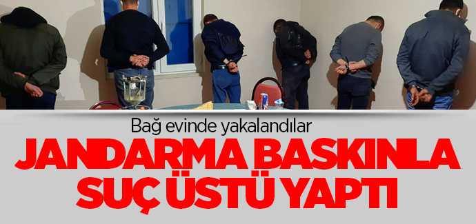 Jandarma'dan bağ evinde baskın