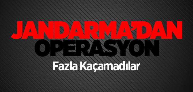Jandarmadan Tarihi Eser Operasyonu
