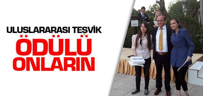 Uluslararası Teşvik Ödülü Onların