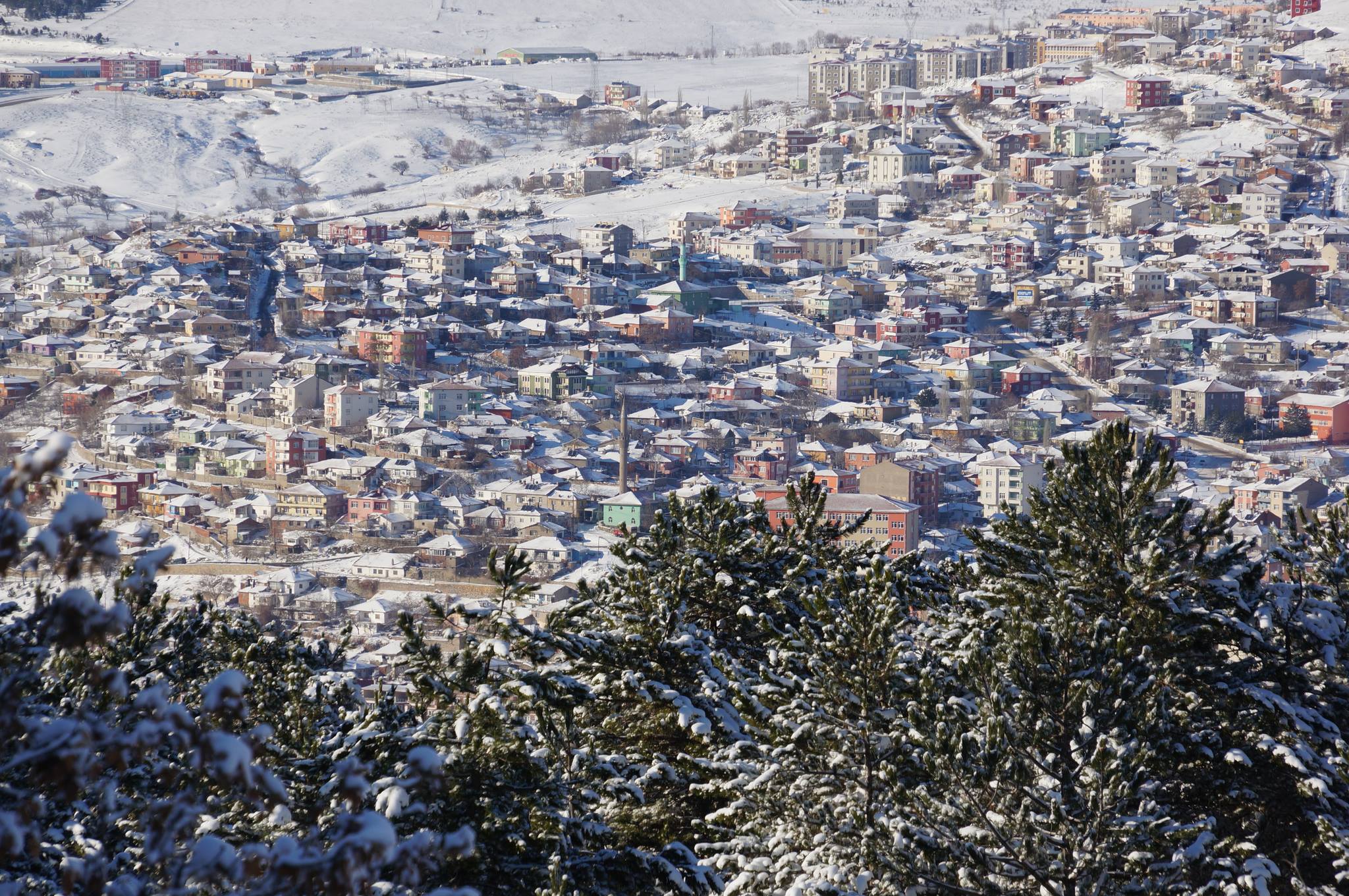 Yozgat Çamlık Kış Manzaraları